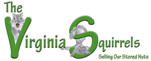 Virginia Squirrels Logo
